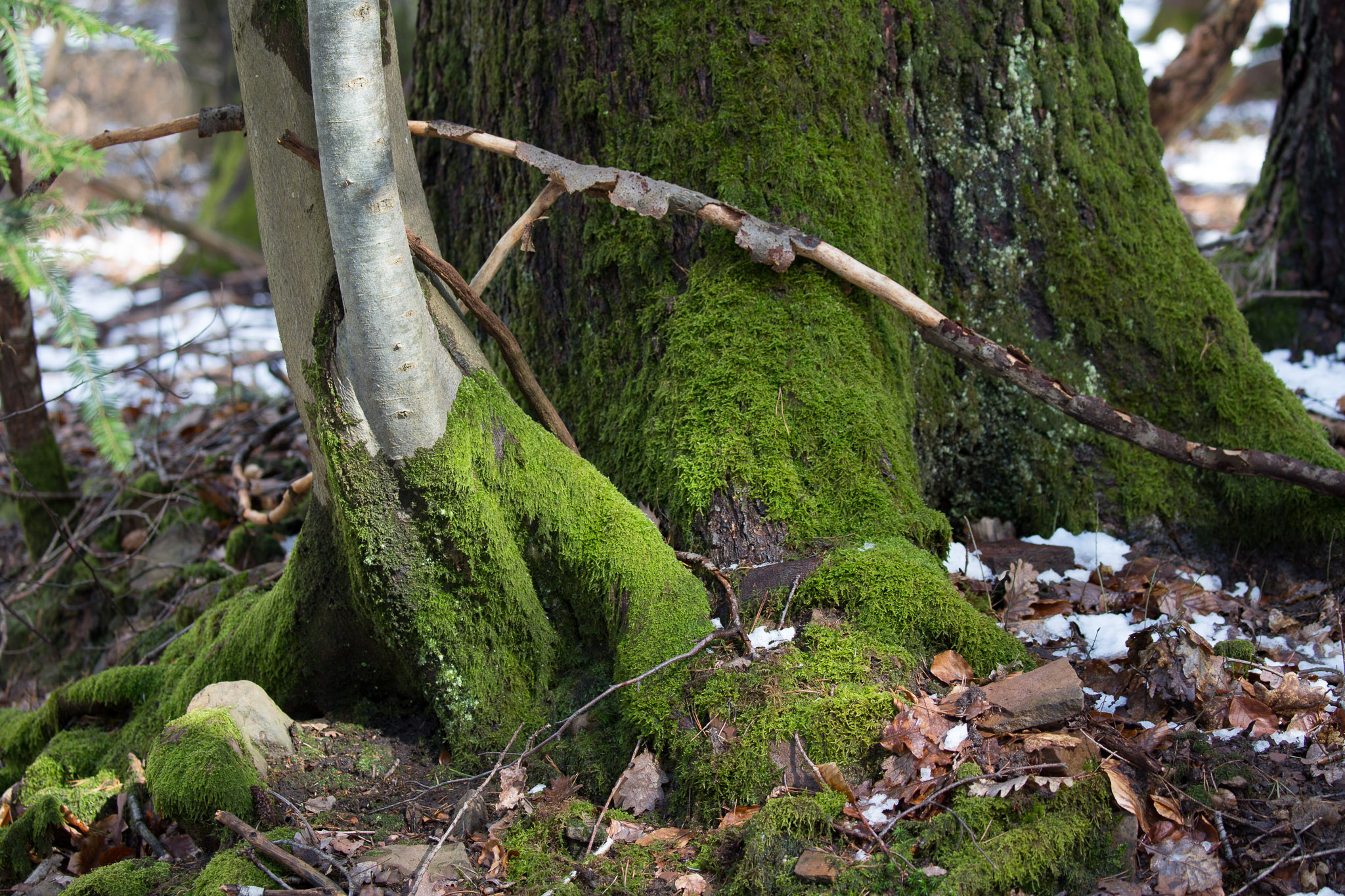 20220409153315 3K6A1939